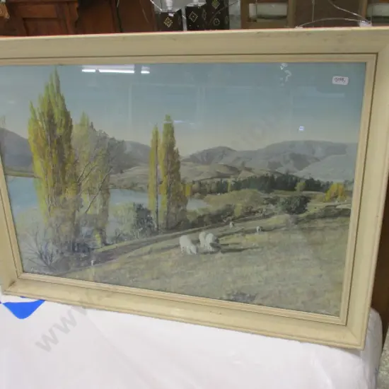 Whites Aviation Photo